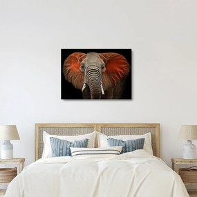 Tablou pe sticlă - Elefanți cu Tsavo (70x50 cm)