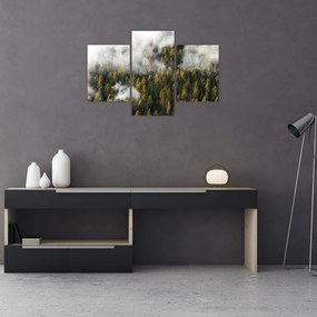 Tablou - Pădure în nori (90x60 cm)