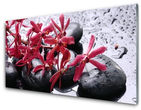 Tablouri acrilice Pietrele de flori Arta Negru Roșu