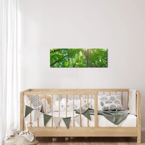 Tablou - Lunca (cu ceas) (90x30 cm)
