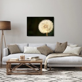 Tablou pe sticlă cu păpădie gri (70x50 cm)