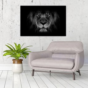 Tablou - Leu majestic (90x60 cm)