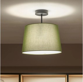 Brilagi - Plafonieră LED aplicată CERIA 1xE27/60W/230V Ø 30 cm negru/verde
