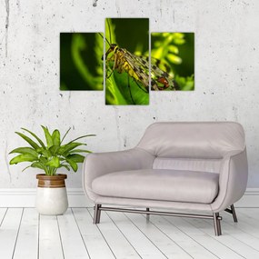 Tablou cu omide (90x60 cm)