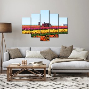 Tablou cu farma de lalele (150x105 cm)