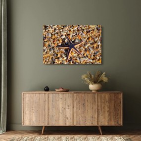 Tablou cu stea de mare (90x60 cm)