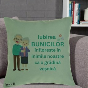 Cadou pentru Bunici - Perna Personalizata Bunicii Iubirea Infloreste Cuplu Senior Teal, 40x40 cm, Verde, Husa Detasabila, Perna Inclusa, BEKZ®