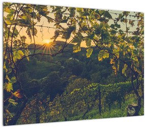 Tablou - Podgorii (70x50 cm)