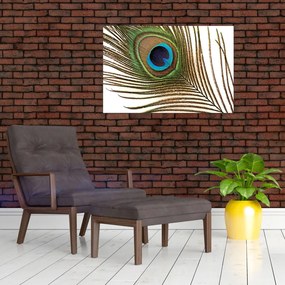 Tablou cu pene de păun (90x60 cm)