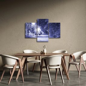 Tablou - Noaptea magică de iarnă (90x60 cm)