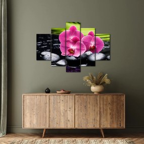 Tablou - Orhidee roz cu frunze de palmier (150x105 cm)