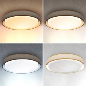 Plafonieră LED dimabilă Brilagi KIANIA LED/48W/230V 3000-6500K + telecomandă