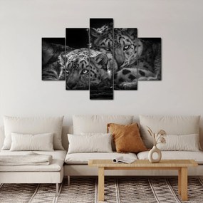 Tablou - Gheparzi care se odihnesc (150x105 cm)