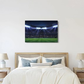 Tablou - Stadion de fotbal (90x60 cm)