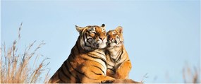 Tablou - Tigroaica cu pui (120x50 cm)