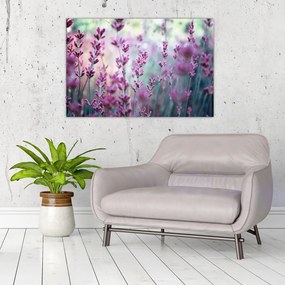 Tablou - Lavandă (90x60 cm)