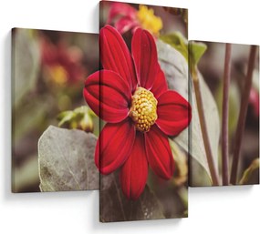 Tablou cu floare (90x60 cm)