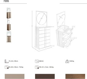 Comoda cu oglinda, sertar cu spatiu pentru ceasuri si bijuterii Chiffonier