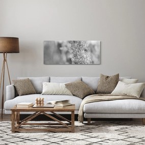 Tablou - Iarbă de pampas Boho (120x50 cm)