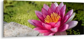 Tablou - Lotus (120x50 cm)