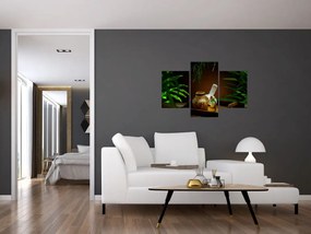Tablou cu obiectele spa (90x60 cm)
