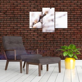 Tablou - Ramură (90x60 cm)