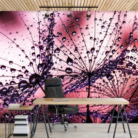 Fototapet - Păpădii - abstracte - violete (152,5x104 cm), în 8 de alte dimensiuni noi