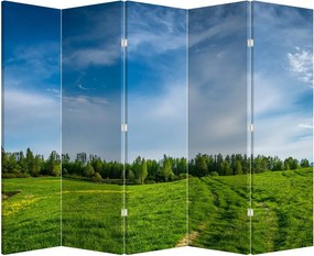 Paravan - Luncă (210x170 cm)