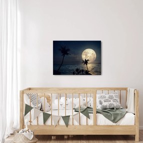 Tablou - Plaja cu lună plină (70x50 cm)