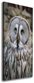 Imprimare tablou canvas Bufniţă