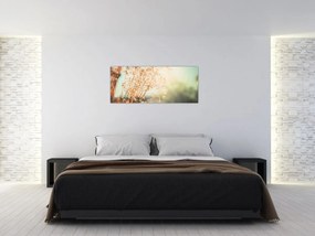 Tablou - Plante după ploaie (120x50 cm)