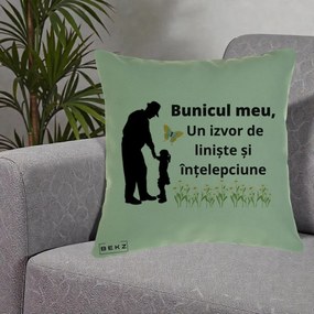 Cadou pentru Bunic - Perna Personalizata Bunicul Meu Izvor de Liniste cu Fluture si Fetita, 40x40 cm, Verde, Husa Detasabila, Perna Inclusa, BEKZ®