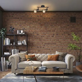 Spot Rabalux 71066 FRAN 2xE27/40W/230V negru