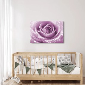 Tablou detaliu de floare de trandafir (90x60 cm)