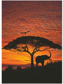 Fototapet natura - Apus in Africa