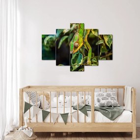 Tablou cu cameleon (150x105 cm)