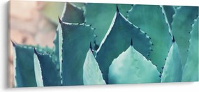 Tablou - Suculent (120x50 cm)