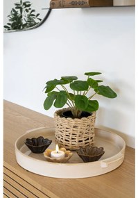 Pilea műnövény, zöld 28 cm