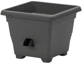 Plastia Ghiveci auto-udare BERGAMOT Plastia, , 25 x 25 cm, 25 x 25 cm