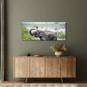 Tablou - Elefant de scăldat (120x50 cm)
