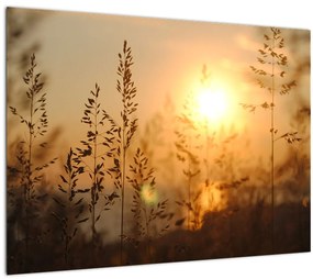 Tablou cu răsărit de soare (70x50 cm), în 40 de alte dimensiuni noi