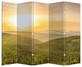 Paravan - Panorama (210x170 cm)