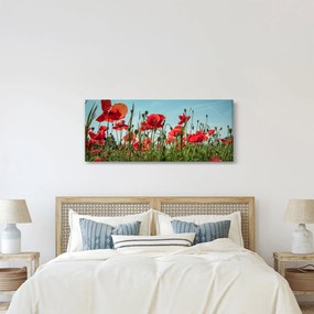 Tablou - Pe câmpul cu maci (120x50 cm)