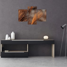 Tablou - Cortaderie (90x60 cm)