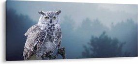 Tablou - Bufniță de zăpadă (120x50 cm)