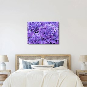 Tablou cu flori violete (70x50 cm)