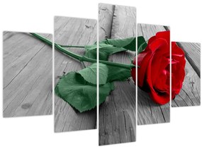 Tablou - Trandafir roșu cu tulpină verde (150x105 cm)