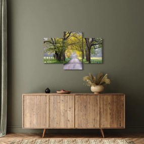 Tablou - Smoky Mountains, Gatlinburg, SUA (90x60 cm)