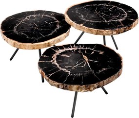 Set de 3 masute de cafea design LUX De Soto cu blat din lemn pietrificat 111465 HZ