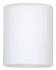 Abajur de rezervă din sticlă Spot-Light G1179 ZEFIR E27 alb